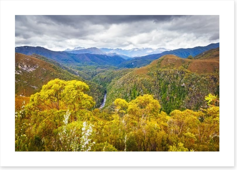 Tasmanian wilderness