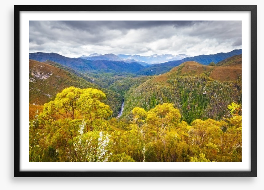 Tasmanian wilderness
