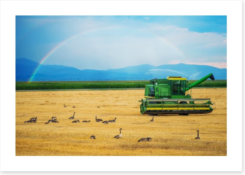 Agriculture