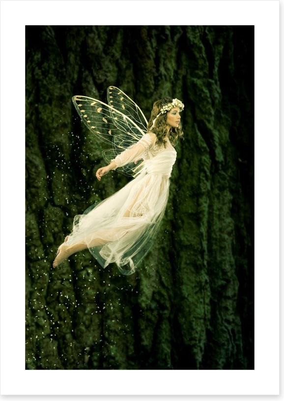 Flight of the fairy