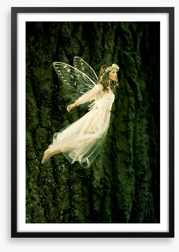 Flight of the fairy