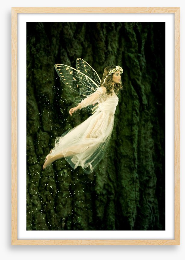 Flight of the fairy