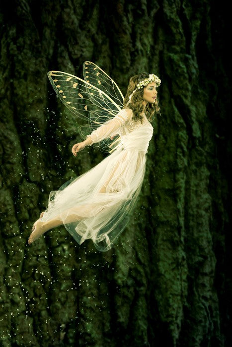 Flight of the fairy