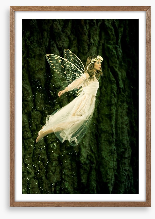 Flight of the fairy