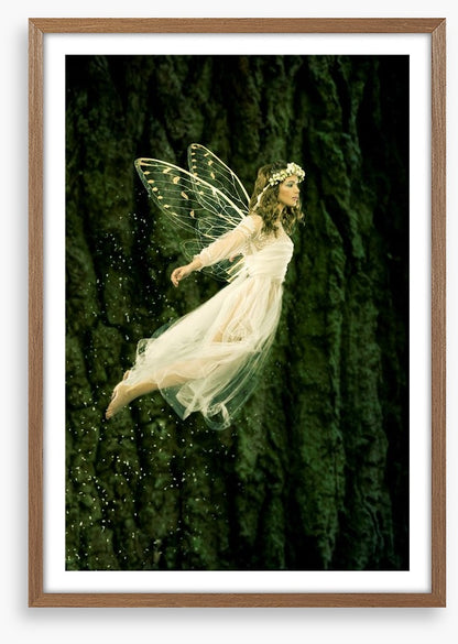 Flight of the fairy