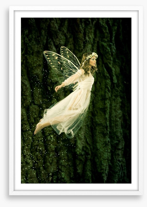 Flight of the fairy