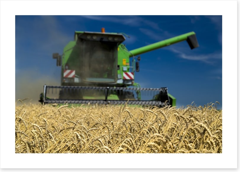 Agriculture