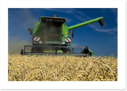 Agriculture