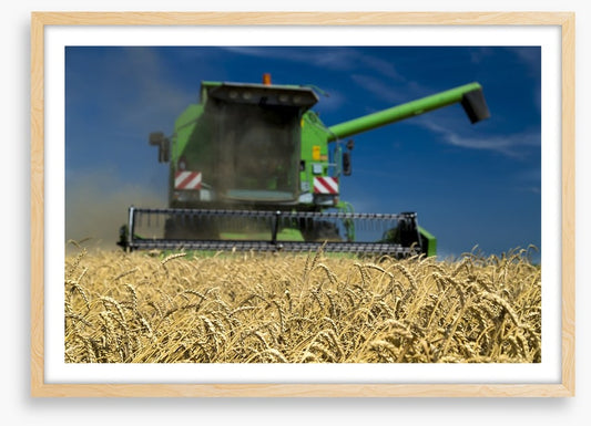 Agriculture