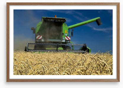 Agriculture