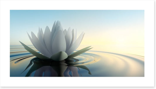Lotus on the lake