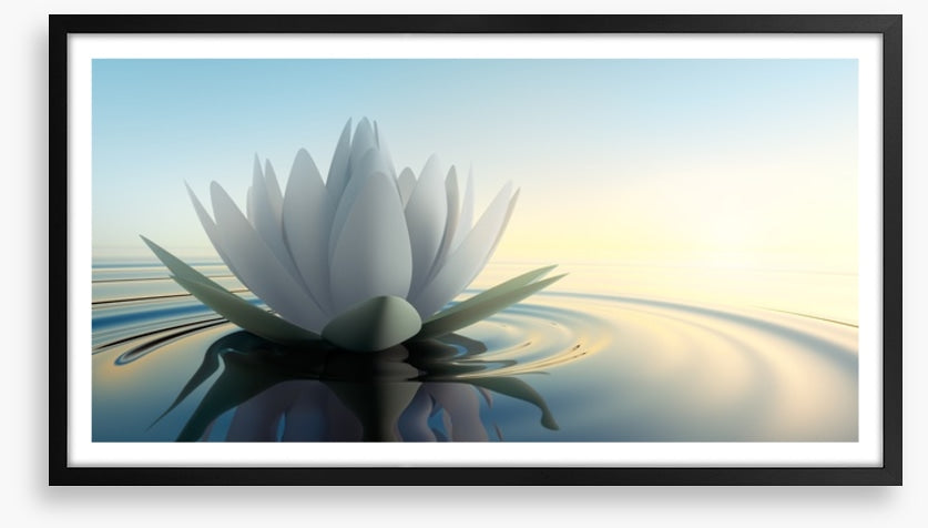 Lotus on the lake
