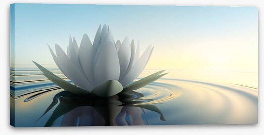 Lotus on the lake