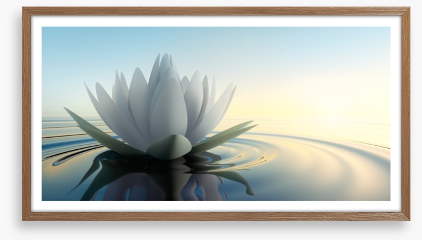 Lotus on the lake
