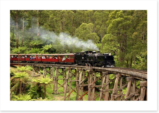 Puffing Billy steam train