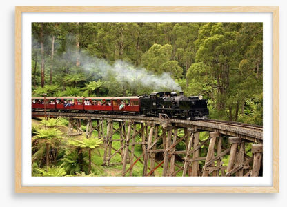 Puffing Billy steam train