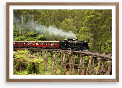 Puffing Billy steam train