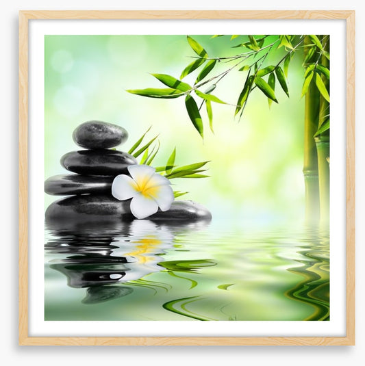 Frangipani and bamboo