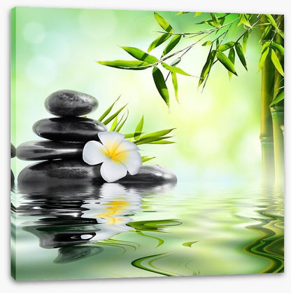 Frangipani and bamboo