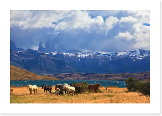 South America