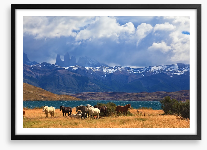 South America