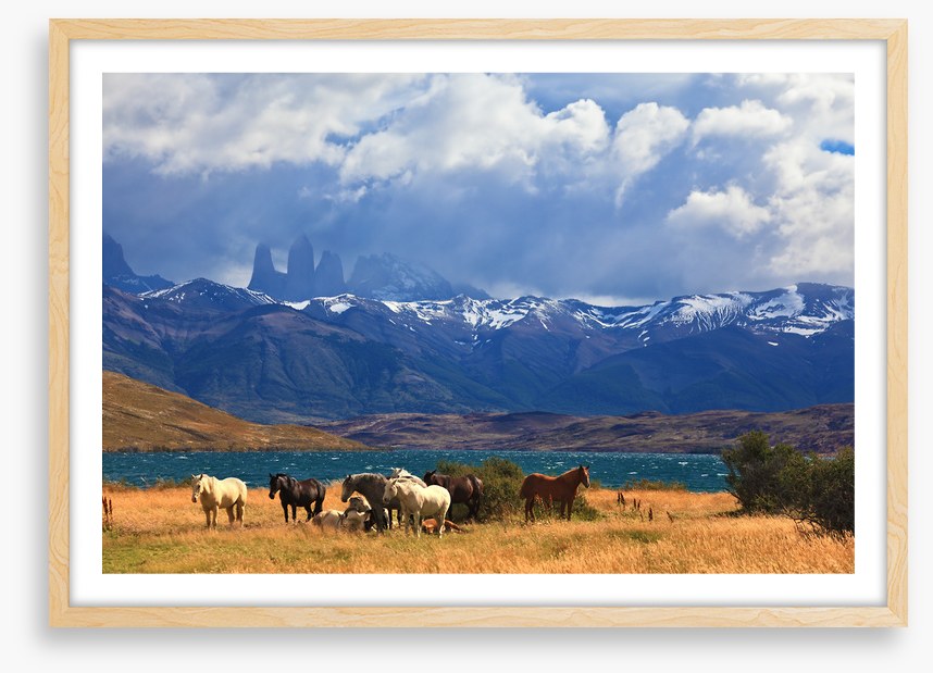 South America