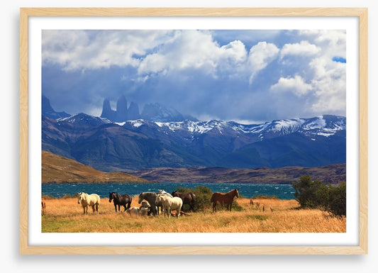 South America