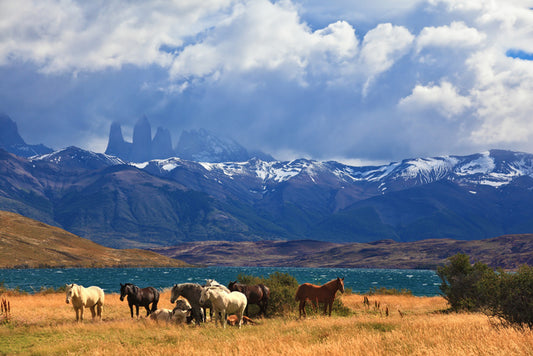 South America