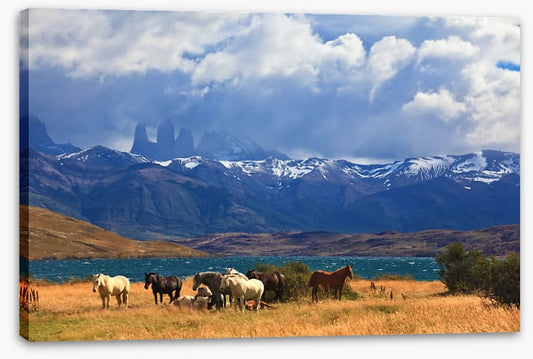 South America