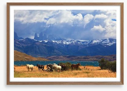 South America