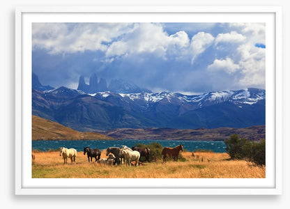 South America