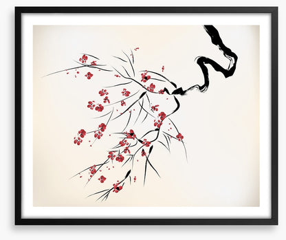 Red blossom beauty