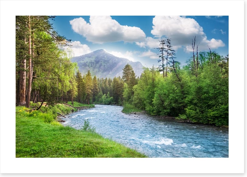 Green forest flow