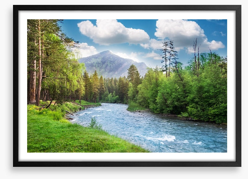 Green forest flow