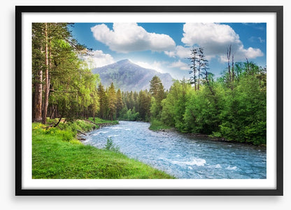 Green forest flow