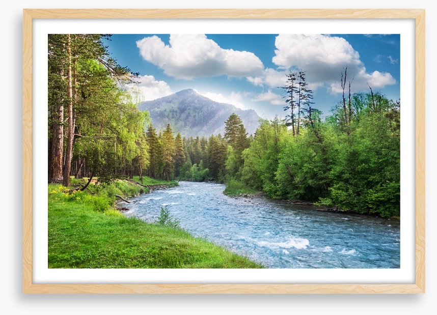 Green forest flow
