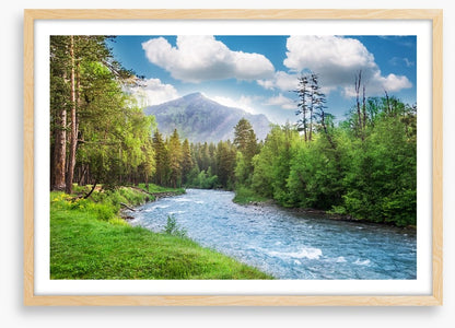 Green forest flow