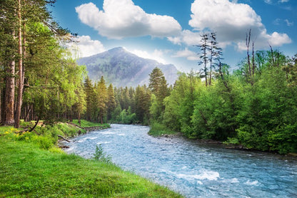 Green forest flow