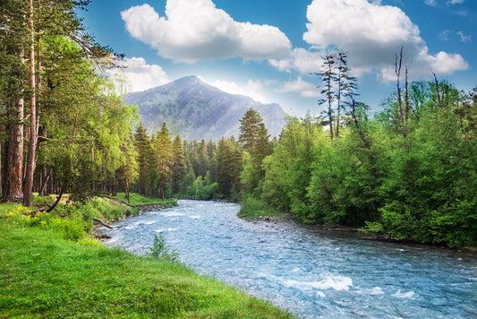 Green forest flow