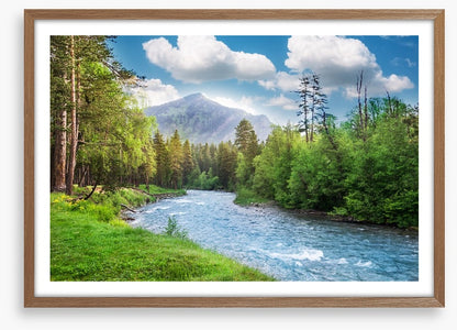 Green forest flow