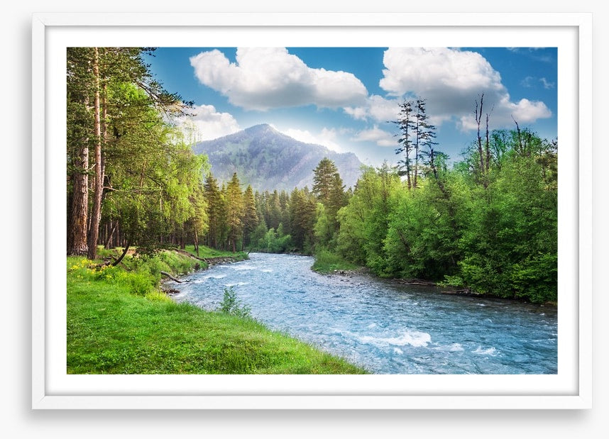 Green forest flow