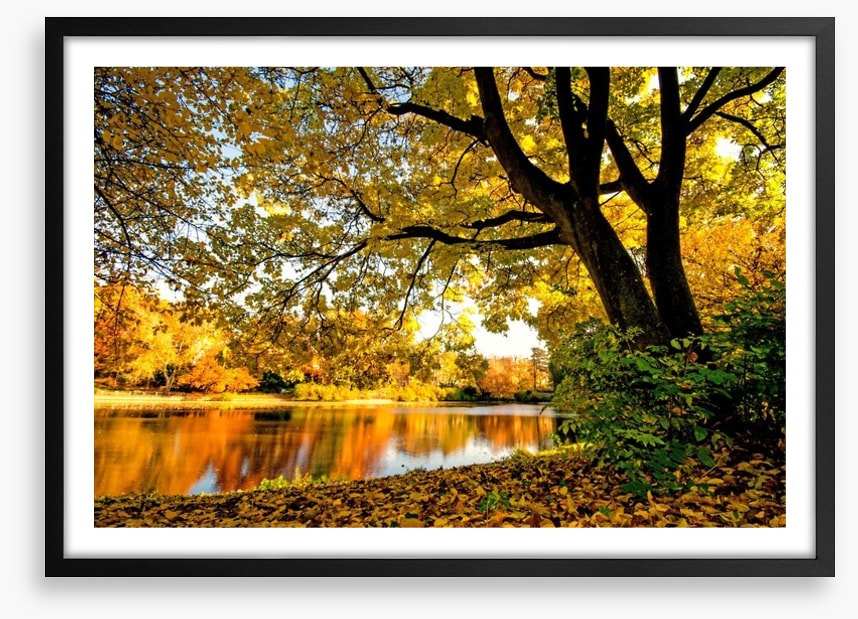 Autumn park glow