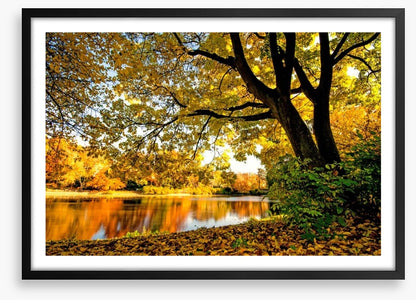 Autumn park glow