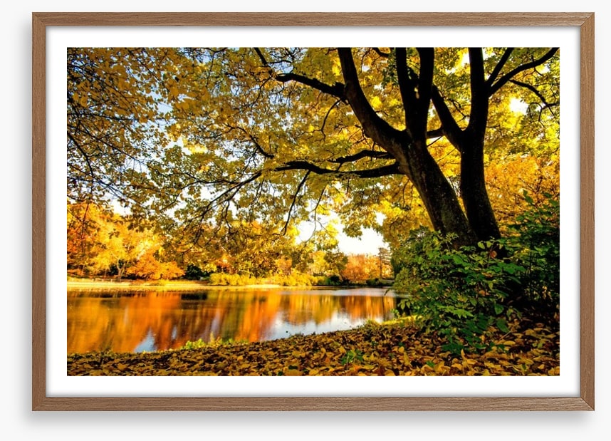 Autumn park glow