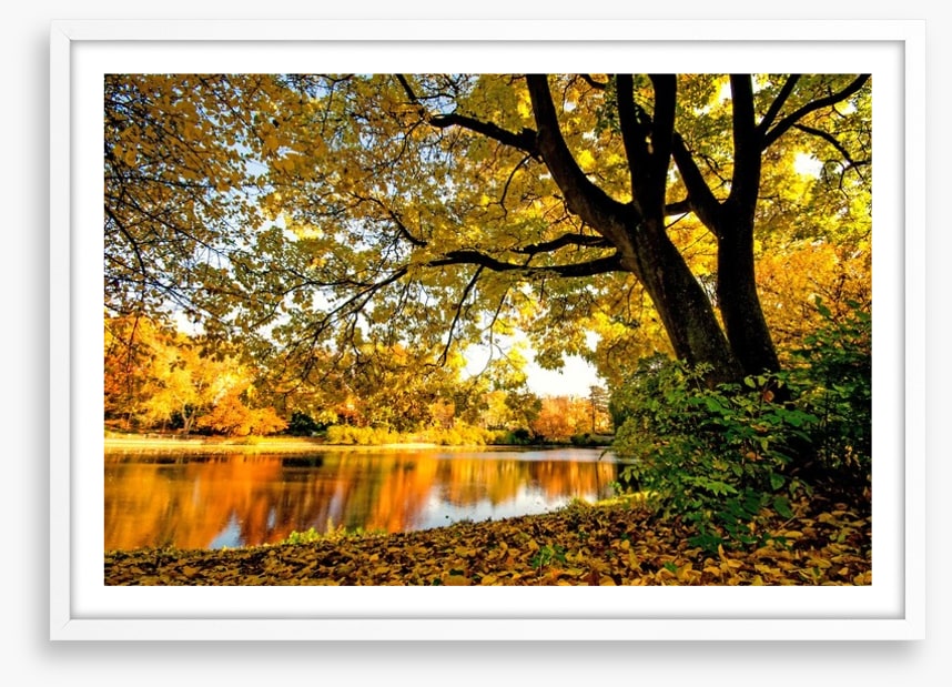 Autumn park glow
