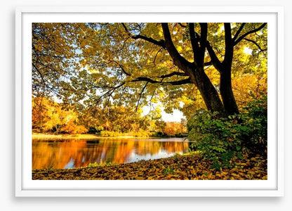 Autumn park glow