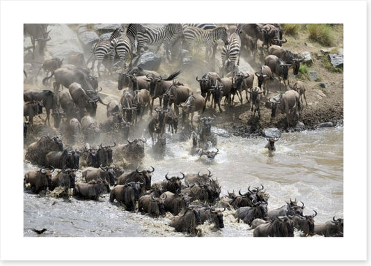 Africa