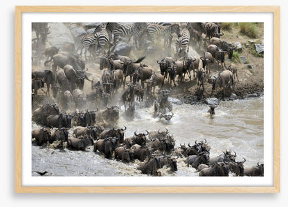 Africa