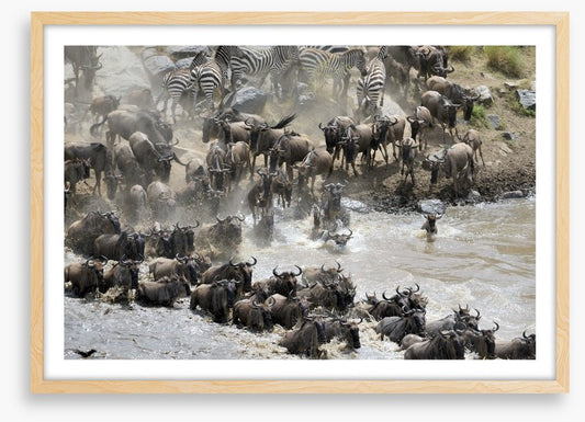 Africa