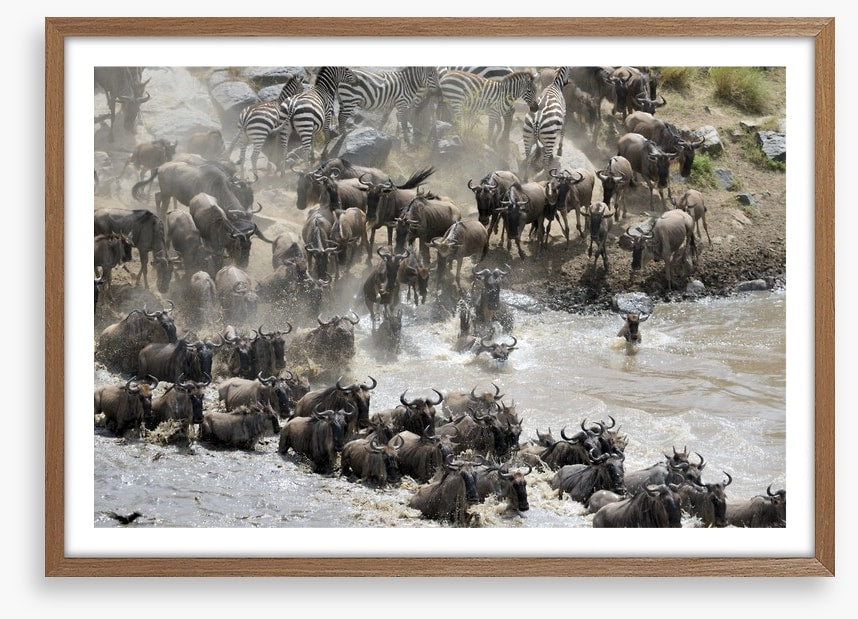 Africa